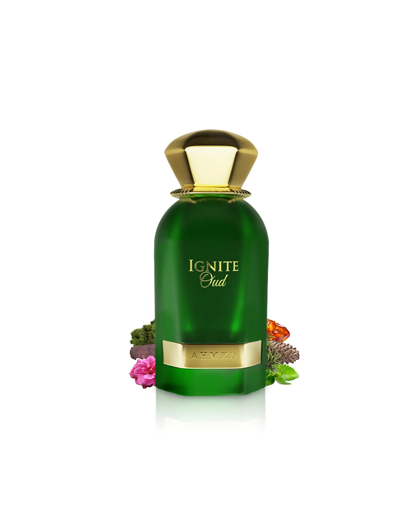 IGNITE OUD